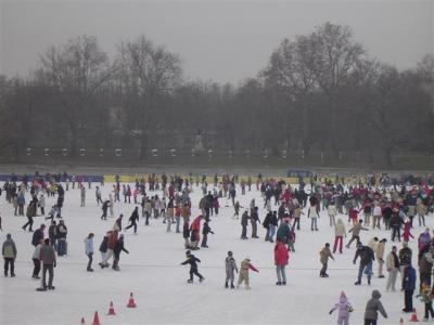 Ice Skating in City Park.  Apparently Europes largest outdoor ice rink.