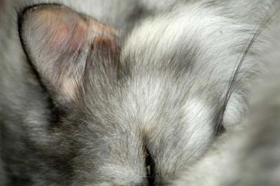 DSC_7416_small.JPG