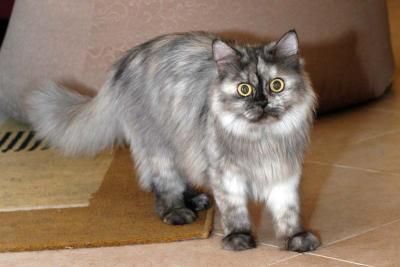 DSC_7419_small.jpg