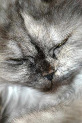 DSC_7619_small.jpg
