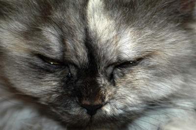DSC_7621_small.jpg