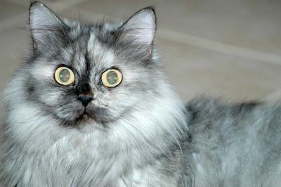 DSC_7638_small.JPG