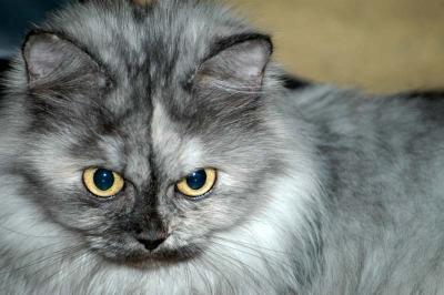 DSC_7653_small.jpg