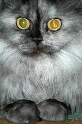 DSC_7699_small.jpg