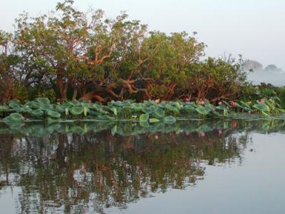 Yellow Waters waterway