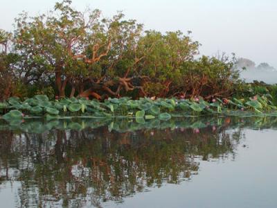 Yellow Waters waterway