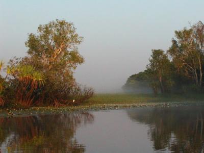 Yellow Waters in the morning fog