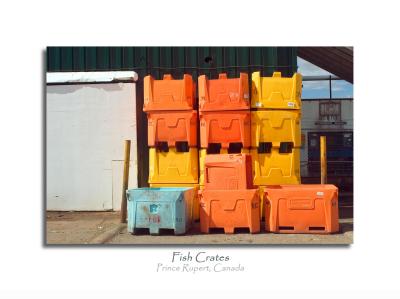 Utilitarian plastic crates held a certain order admidst the chaos of the docks.