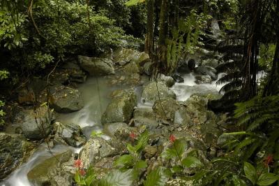 u8/dfw8888/medium/37542473.Yunque043.jpg
