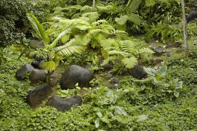 u8/dfw8888/medium/37542480.Yunque048.jpg