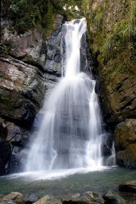 u8/dfw8888/medium/37542482.Yunque052.jpg