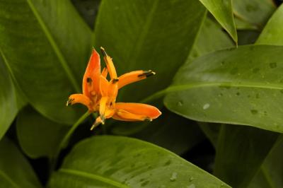 u8/dfw8888/medium/37542487.Yunque056.jpg