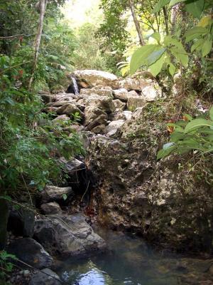 u8/dfw8888/medium/37542490.Yunque059.jpg