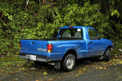 u8/dfw8888/medium/37542494.Yunque063.jpg