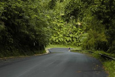 u8/dfw8888/medium/37542496.Yunque065.jpg