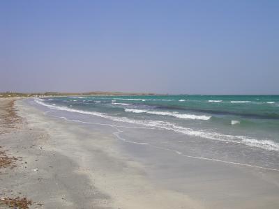 lemnos