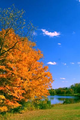 Autumn day.jpg