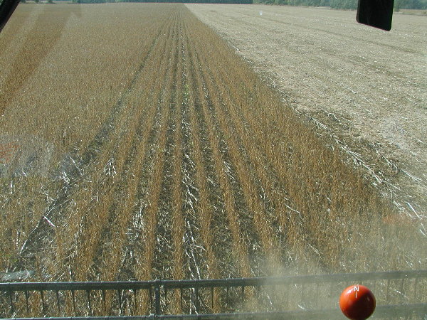P9250008.JPG
