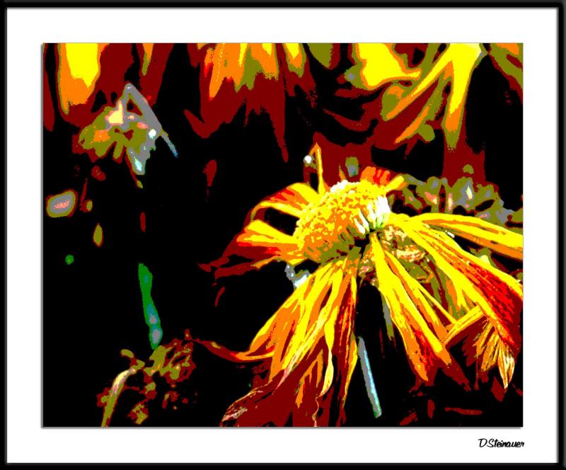 12/11/04 - Fading Glory