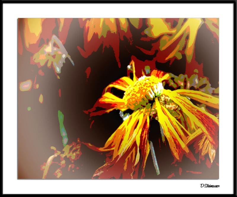 12/11/04 - Fading Glory