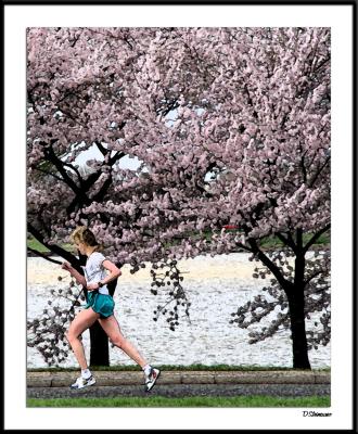Cherry Blossom 10 Mile 4-4-2004 231a1awF.jpg