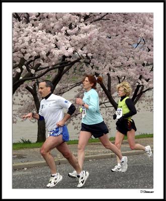 Cherry Blossom 10 Mile 4-4-2004 240a1awF.jpg