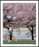 Cherry Blossom 10 Mile 4-4-2004 231a2awF.jpg