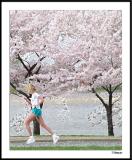 Cherry Blossom 10 Mile 4-4-2004 231a4awF.jpg