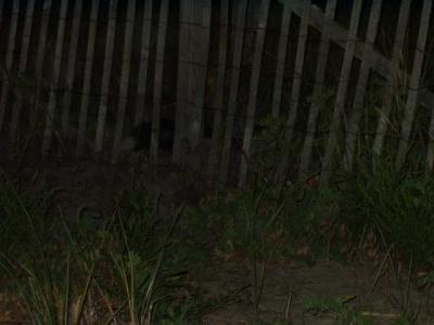 u8/dune17856/medium/32777266.P7040201.jpg