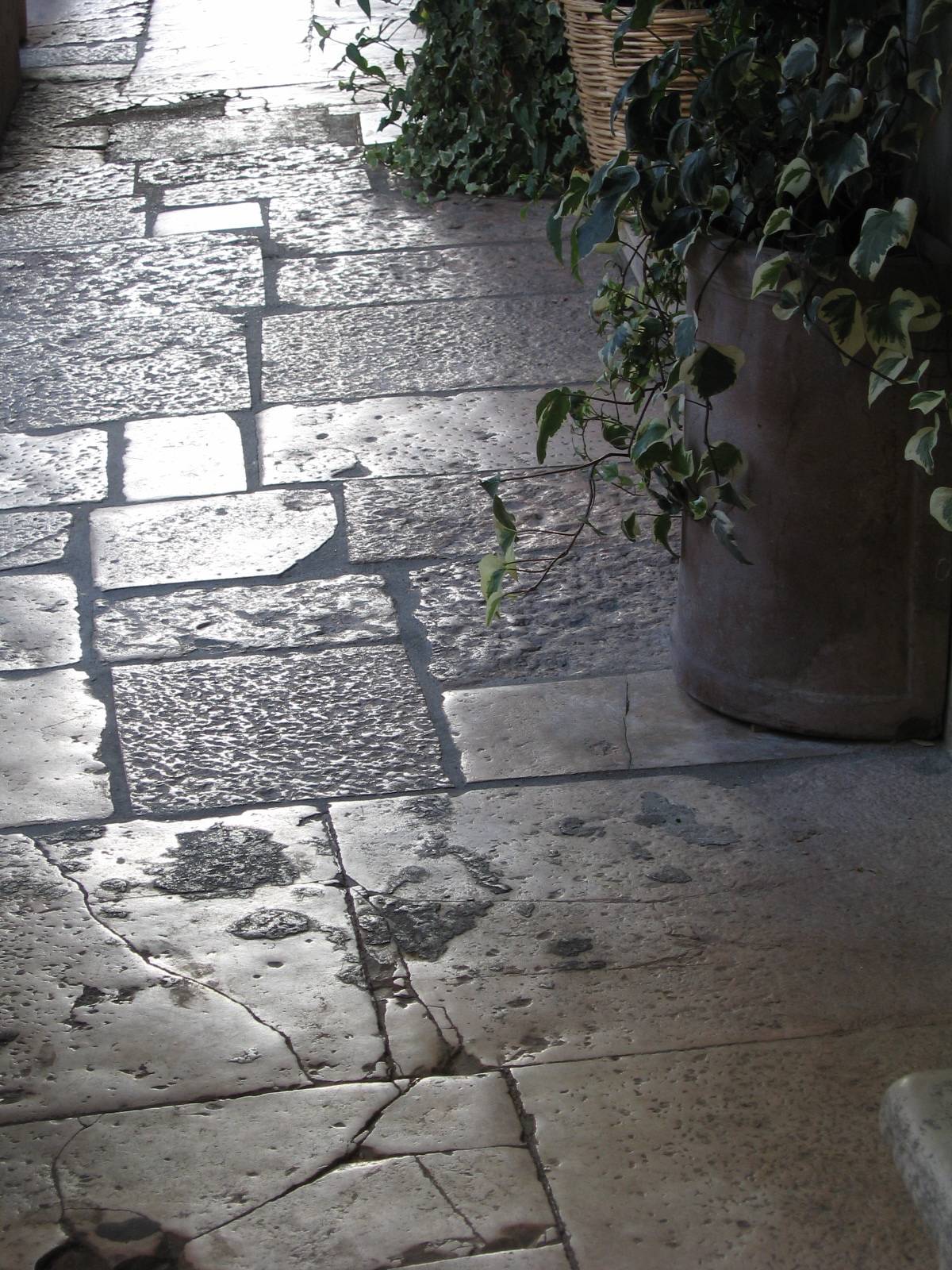 wet pavement.JPG