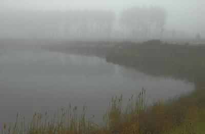 12/10/04 - Foggy Morning