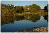 DSC_0796.jpg