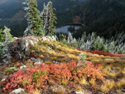 Backlit Grasses and Thorp Lake Below