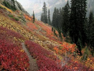 Trail amid Autumn Color