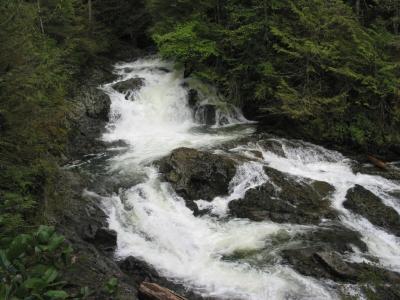 Rapids Above Lower Falls
