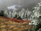 Cloudy Thorp Lake and Snowy Trees