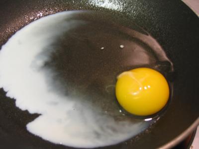 Y is for Yolk