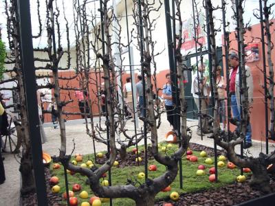 including demonstrations of fruit trees