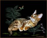 dsc03978 Bengal and Butterfly IV sample with tubes.jpg