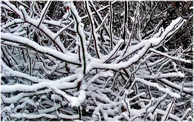 Tangle