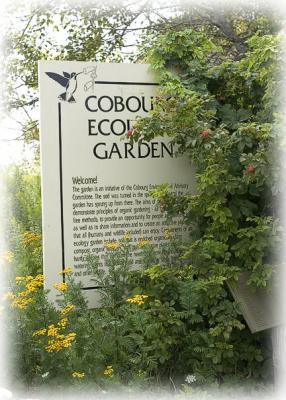 Cobourg Ecology Garden