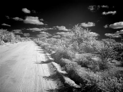 Desert Road