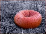 pumpkin-670_Image004.jpg