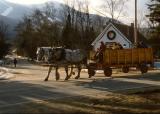 Hayride at dusk