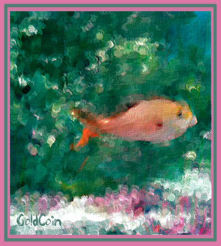 GoldFish