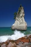 cathedral cove vista