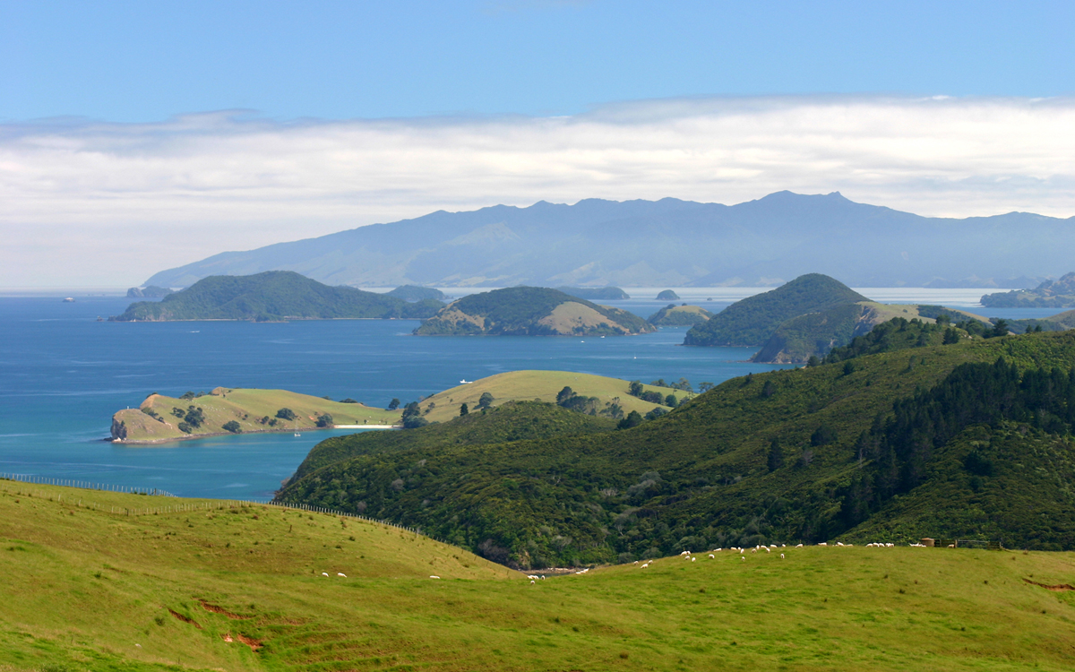 coromandel view north