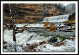 Wintry Willow Falls