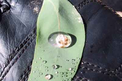 Sand in a dew drop.