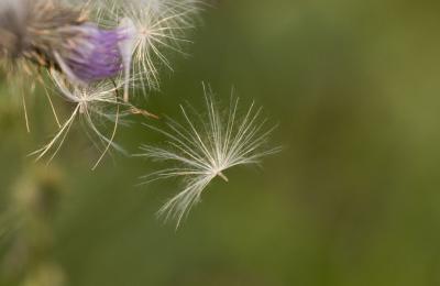 CRW_7834.jpg